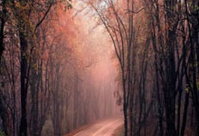 华体会皇马赞助商-奥利维耶爆发！加拿大橄榄球险胜威尔士，改写历史的黄金时刻